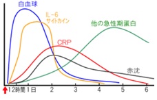 白血球グラフ